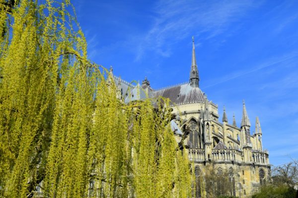 Reims Cathedral, Reims, France. Photo by Susan Lanier-Graham