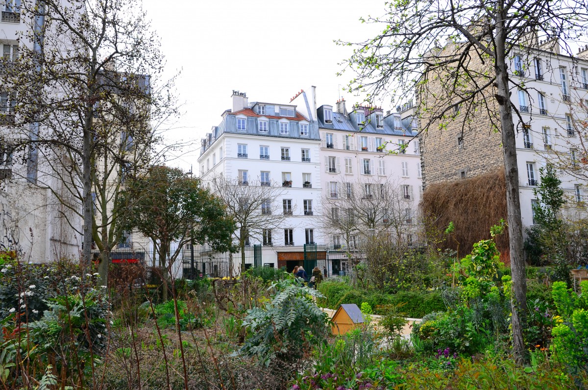 Paris Food Tour
