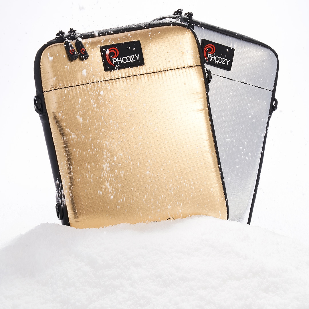 iPad Silver Gold Snow