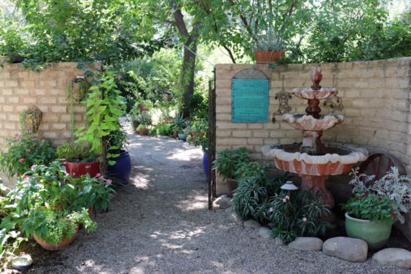 48 hours in Tucson