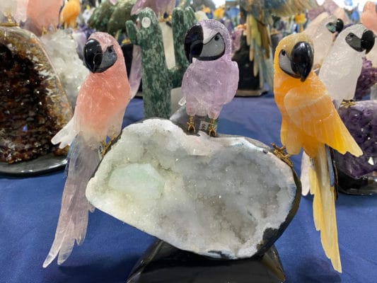 parrots