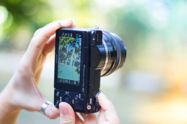 Canva Person Holding Black Point and shoot Camera