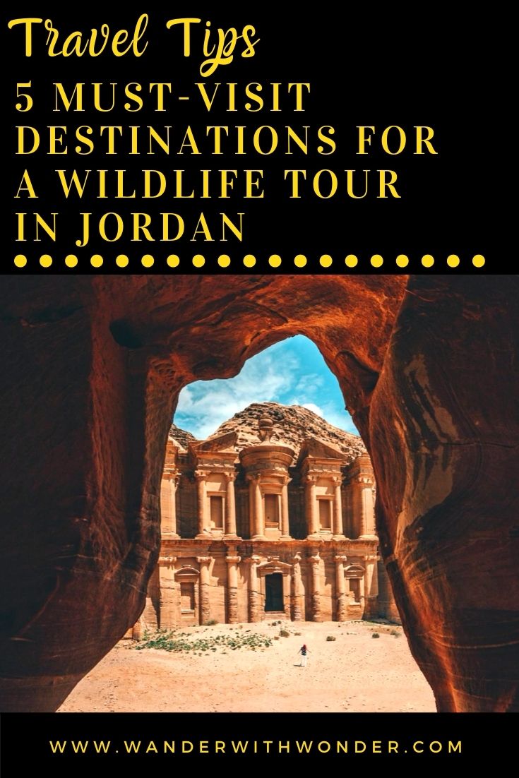 Jordan holds great historical significance yet is also rich in unique and exotic wildlife. Here are our recommendations for 5 must-visit destinations for a wildlife tour in Jordan.