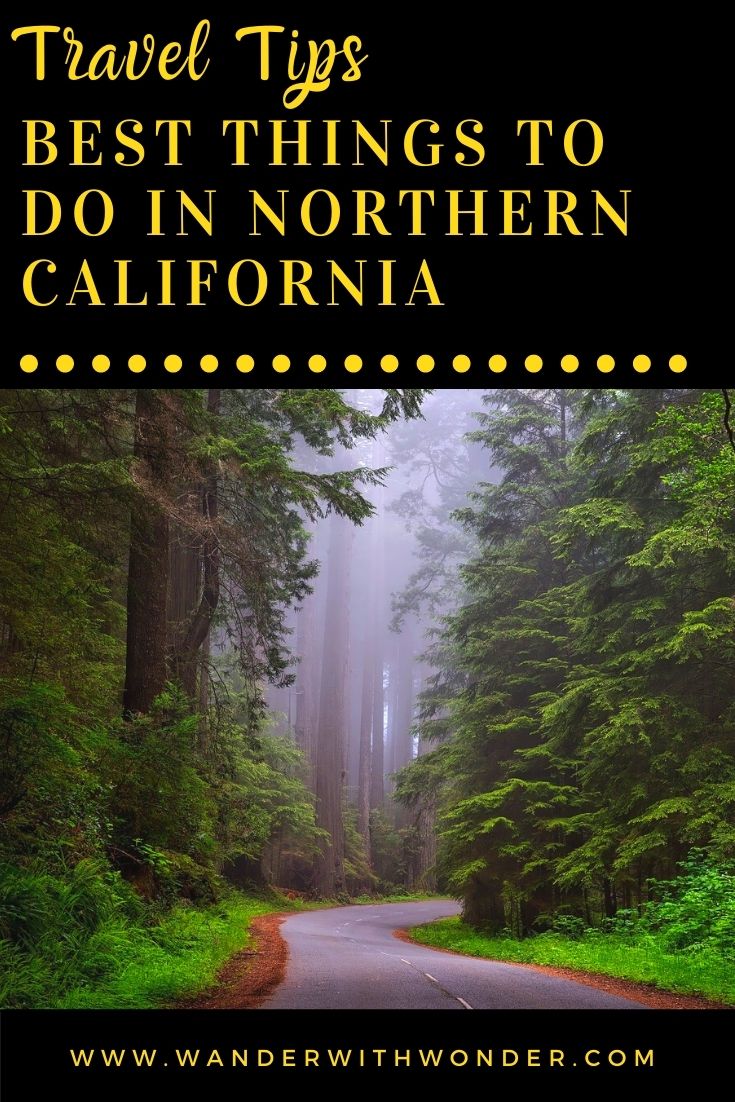 California is a beautiful state with plenty to see and do. While the lower half of the state boasts some of the nation's best beaches and shopping, don't count out Northern California. Here you'll find the state capital, gorgeous natural and wooded areas, and several must-see attractions. Check out some of the best things to do during your next visit to Northern California.