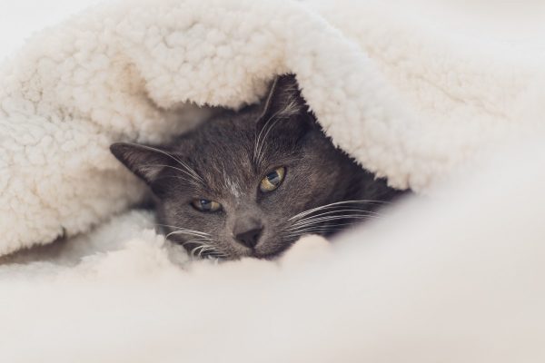 essentials for anxious travelers