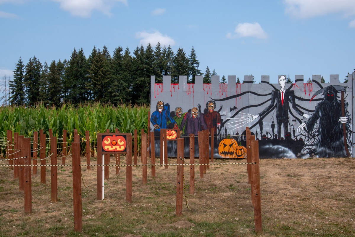 discoveries in Olympia, Washington