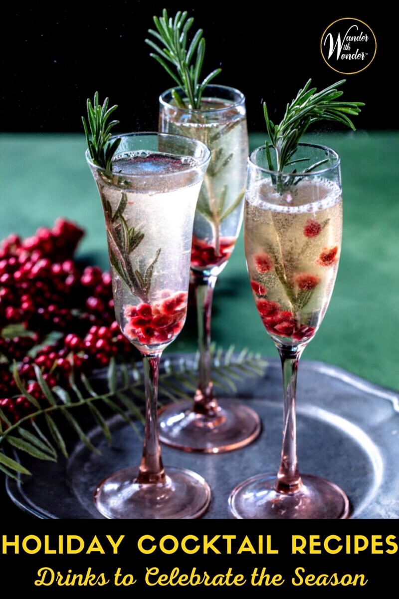What better way to get in the holiday mood than with a festive cocktail. I have checked the recipe lists of some of my favorite spirits and come up with a few of my favorite holiday cocktail recipes. Whether you've been naughty or nice this year, these holiday-themed cocktails will help you say Happy Holidays!