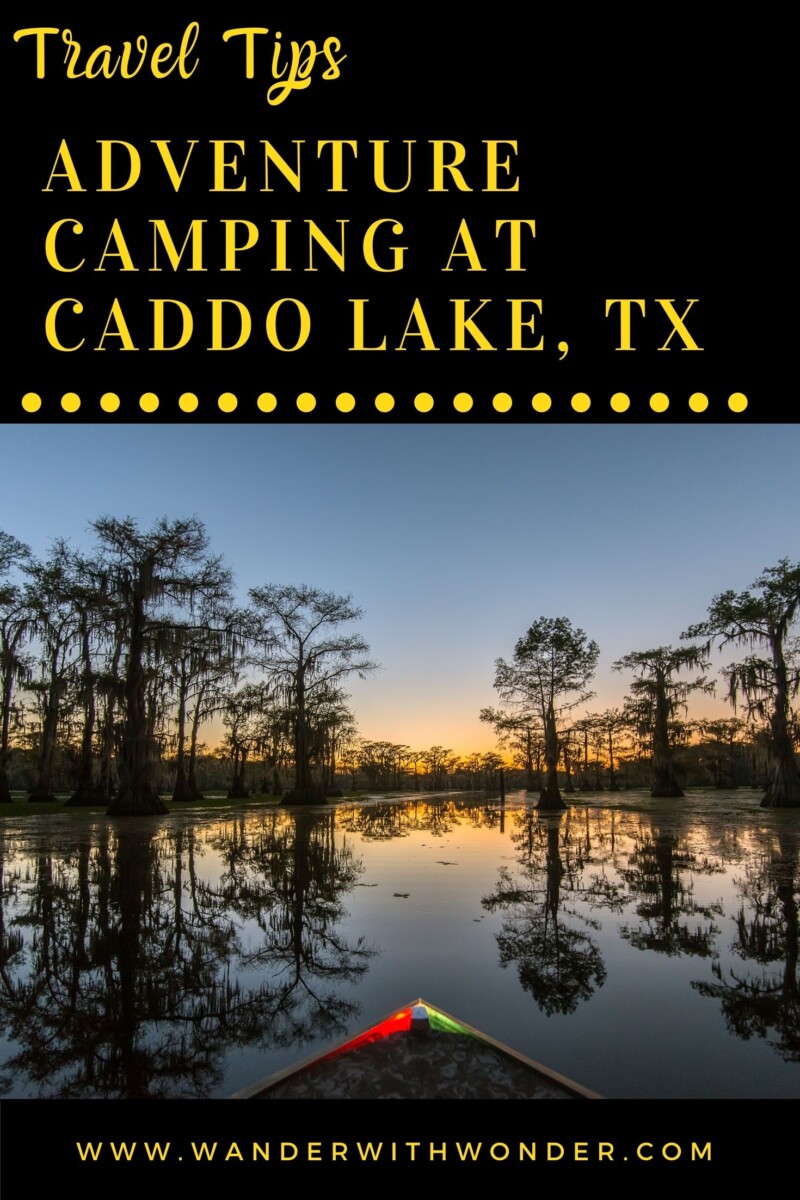 If you’re looking for a true American adventure, then Caddo Lake in Texas is an incredible state park with a difference. Covering 25,400 acres, not including the surrounding bayou, Caddo stretches along the borders of Texas and Louisiana. You can spend days exploring the maze of waters, overshadowed by tall cypress trees, heavy with moss. You can easily spend your days hiking, canoeing, fishing, and boating through the waterways and see some amazing wildlife.