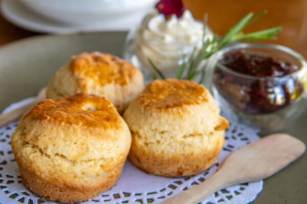 Enjoy scones with jam and clotted cream during afternoon tea. Photo by scottiebumich via iStock by Getty Images