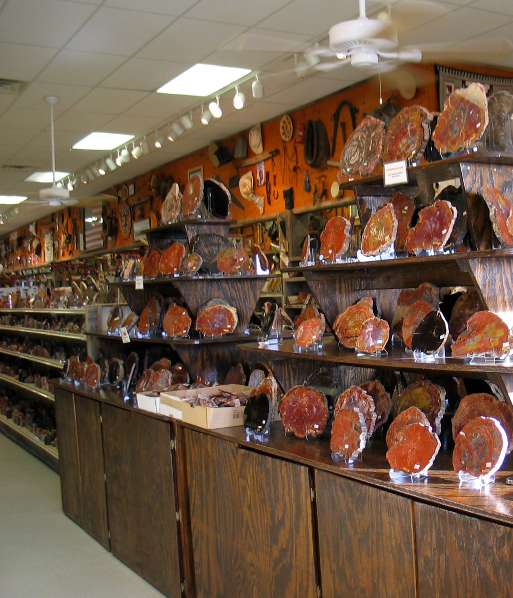 Petrified Wood - Arizona road Trip