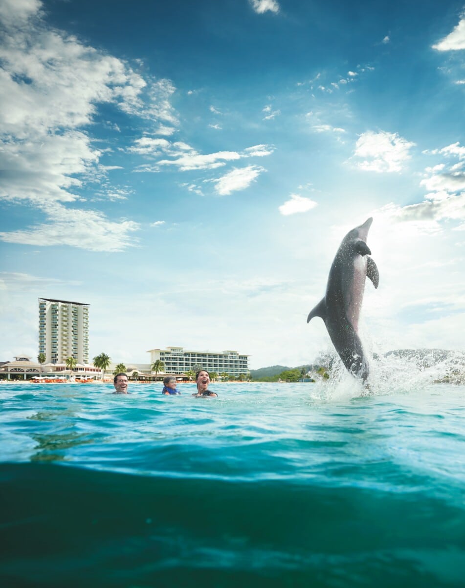 Swimming with Dolphins