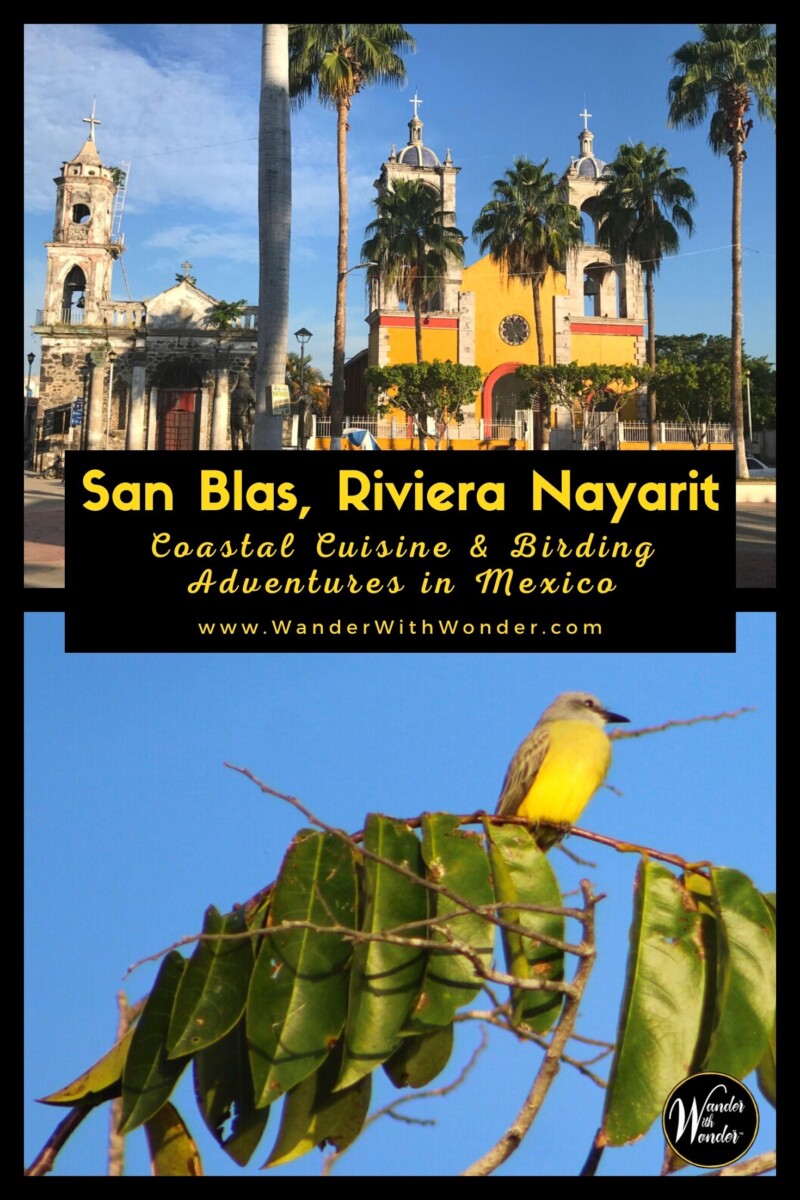 San Blas Riviera Nayarit Mexico Coastal Cuisine and Birding Adventures