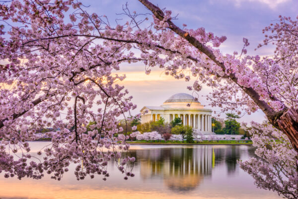 Washington DC