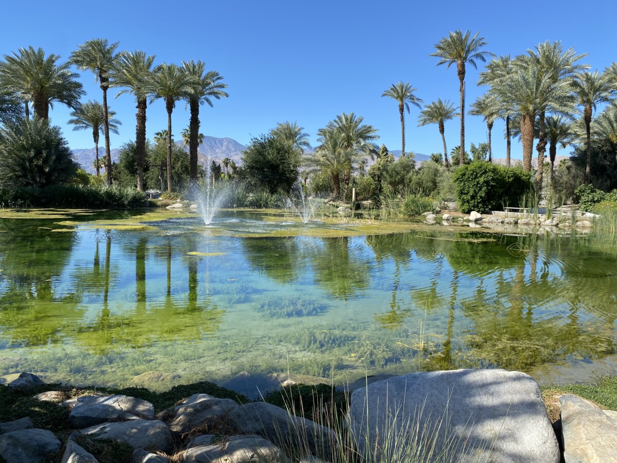 Shields Date Garden