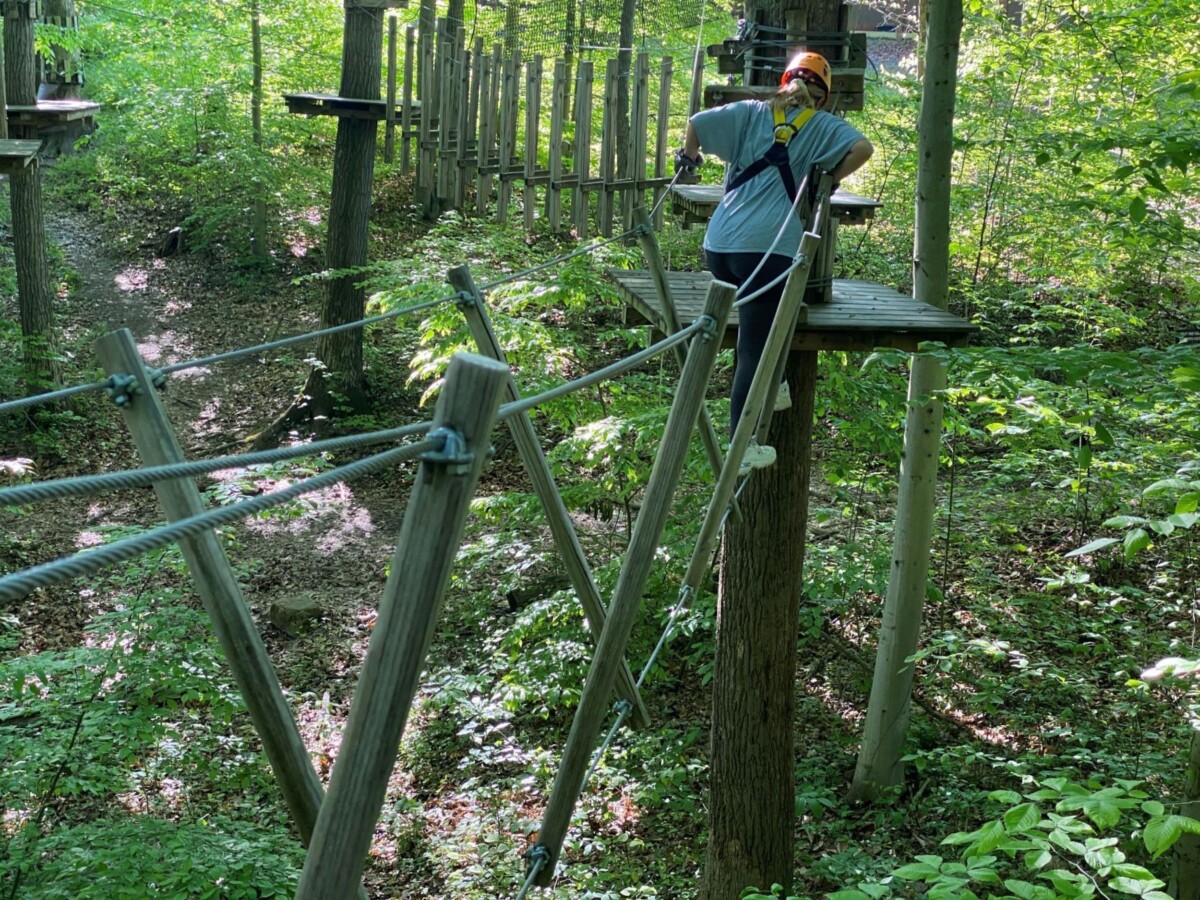 Timber Trek Adventure course - New River Gorge National Park