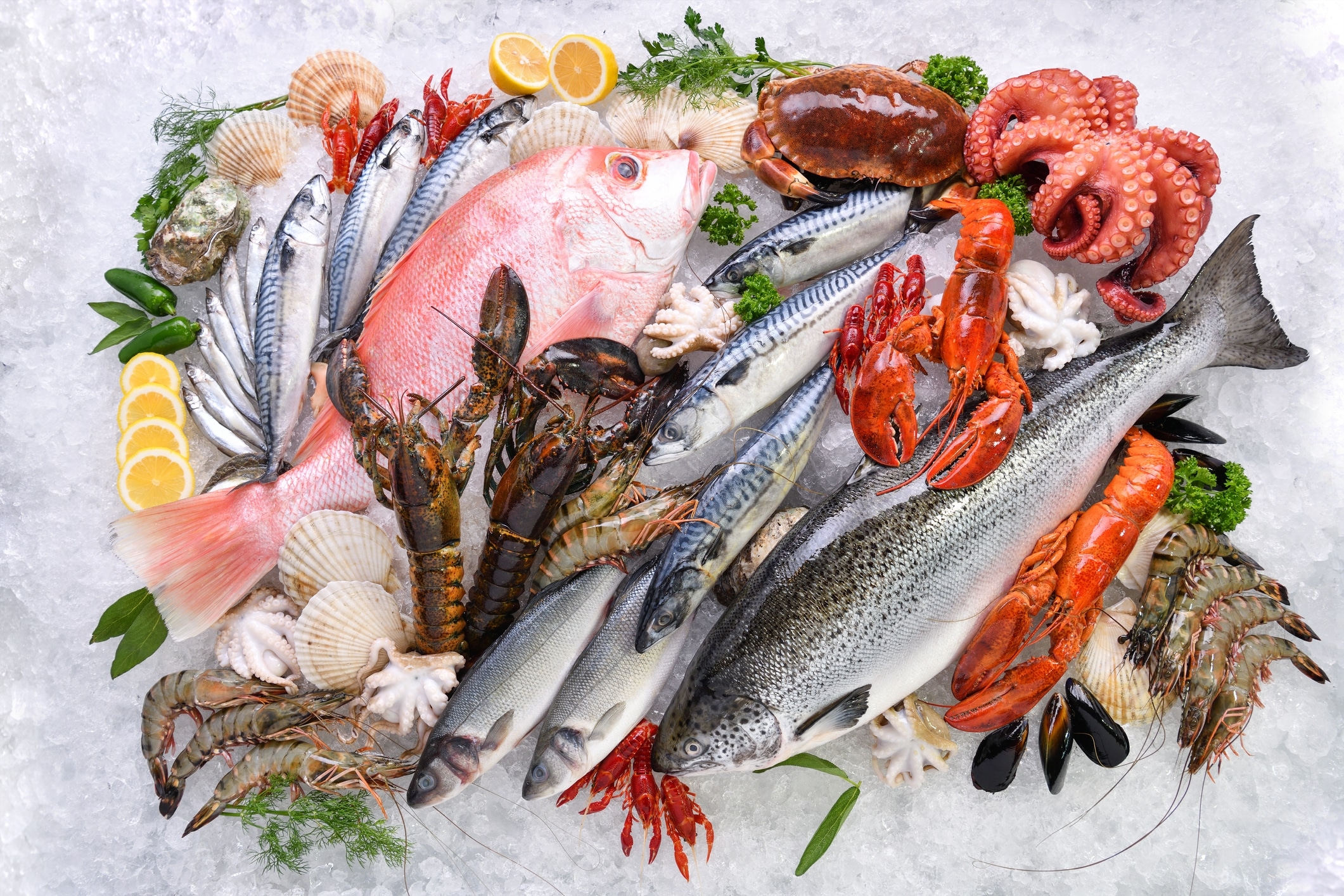 fresh seafood