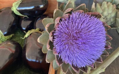 Indio, California: Surprising Foodie Finds in the Coachella Valley