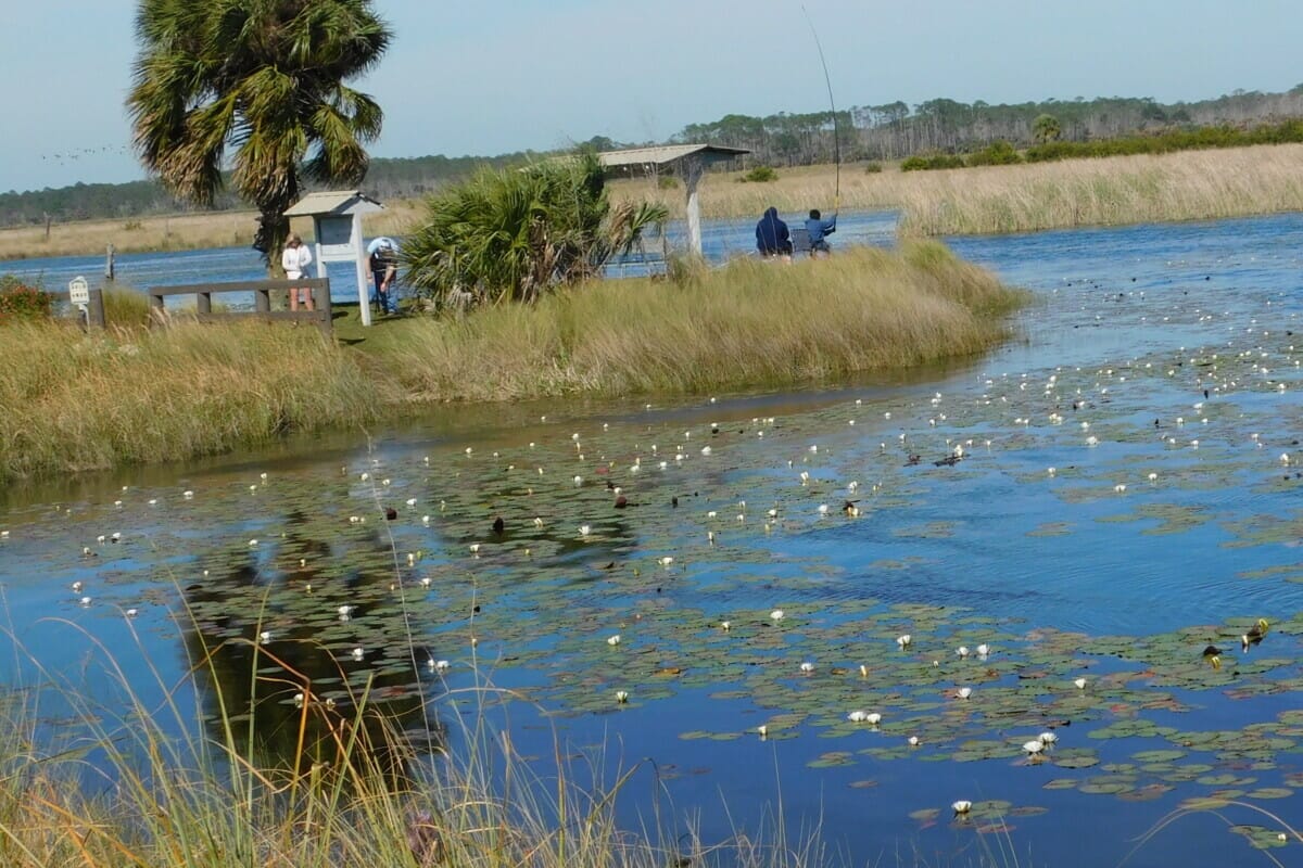 St. Marks National Wildlife Refuge
