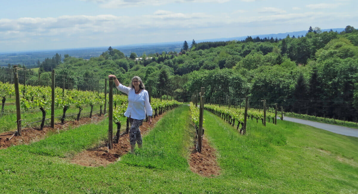 Wandering the Vineyard - - Dundee wines - wine tasting day trip from Portland