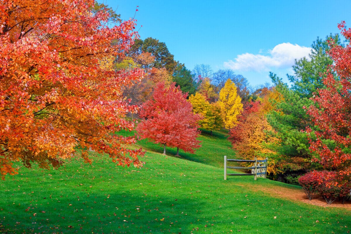 Autumn in Vermont