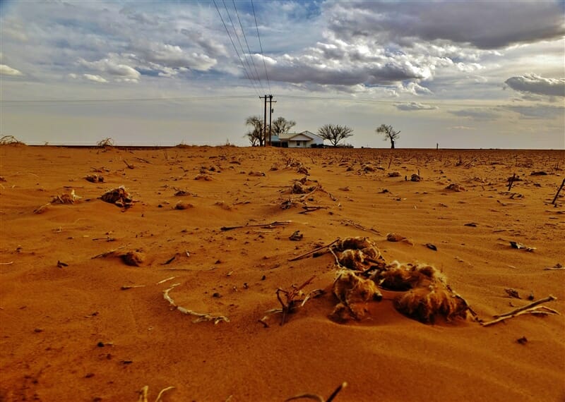climate change and wine