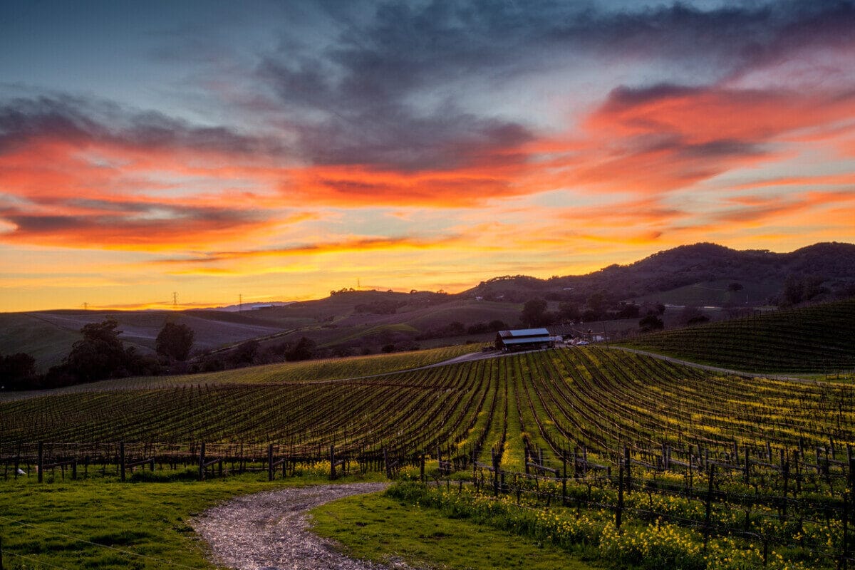 weather and wine