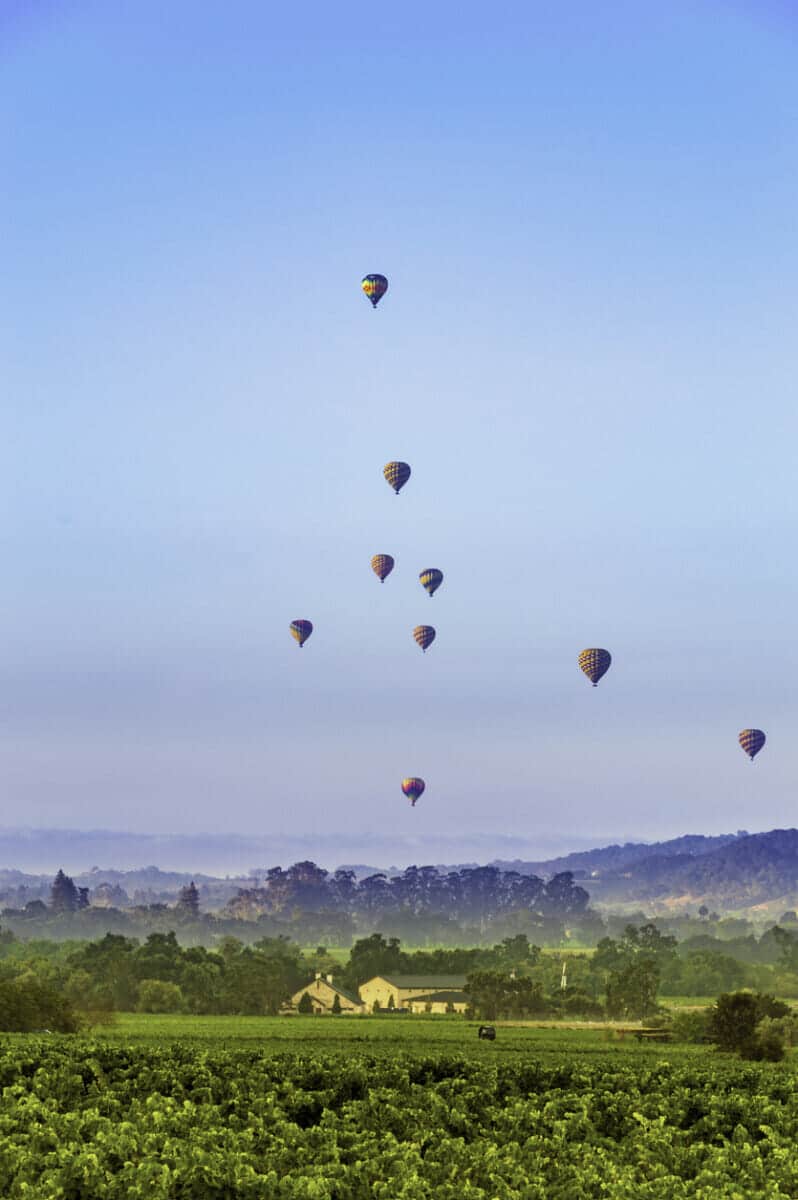 Sonoma Valley Vineyards