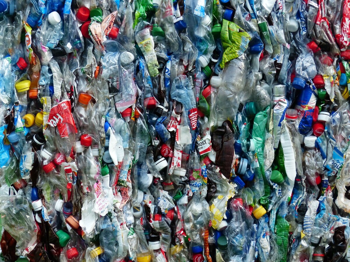 discarded plastic bottles