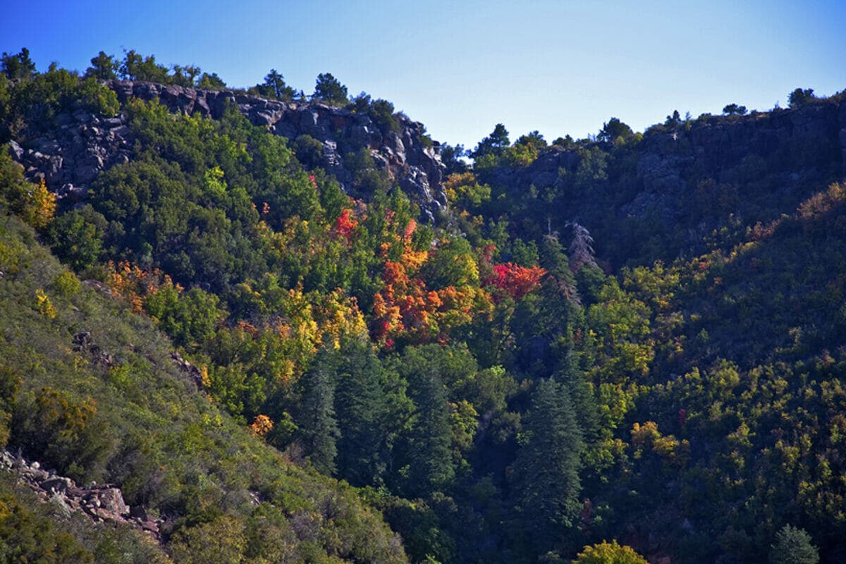 Oak Creek