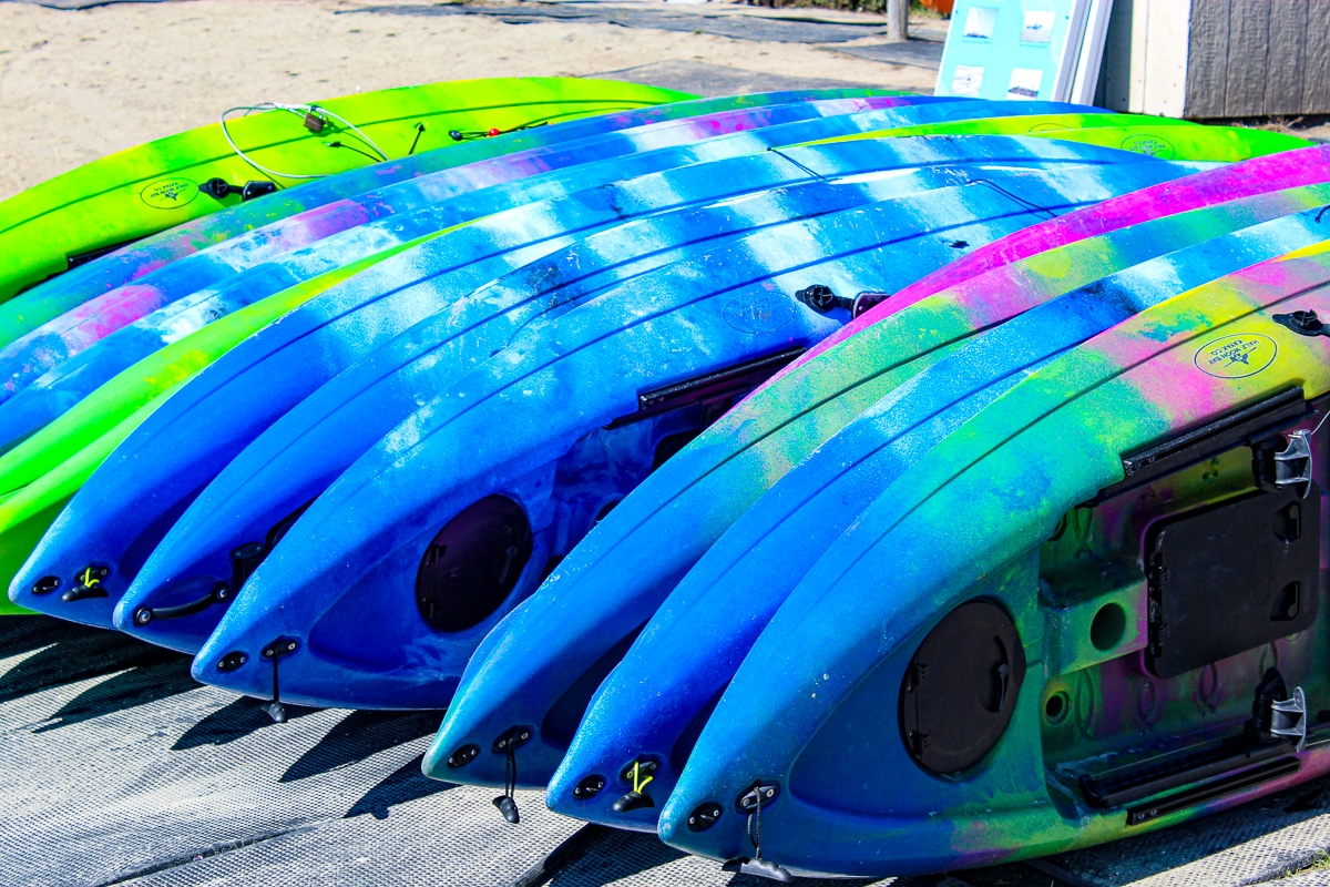 things to do in Half Moon Bay