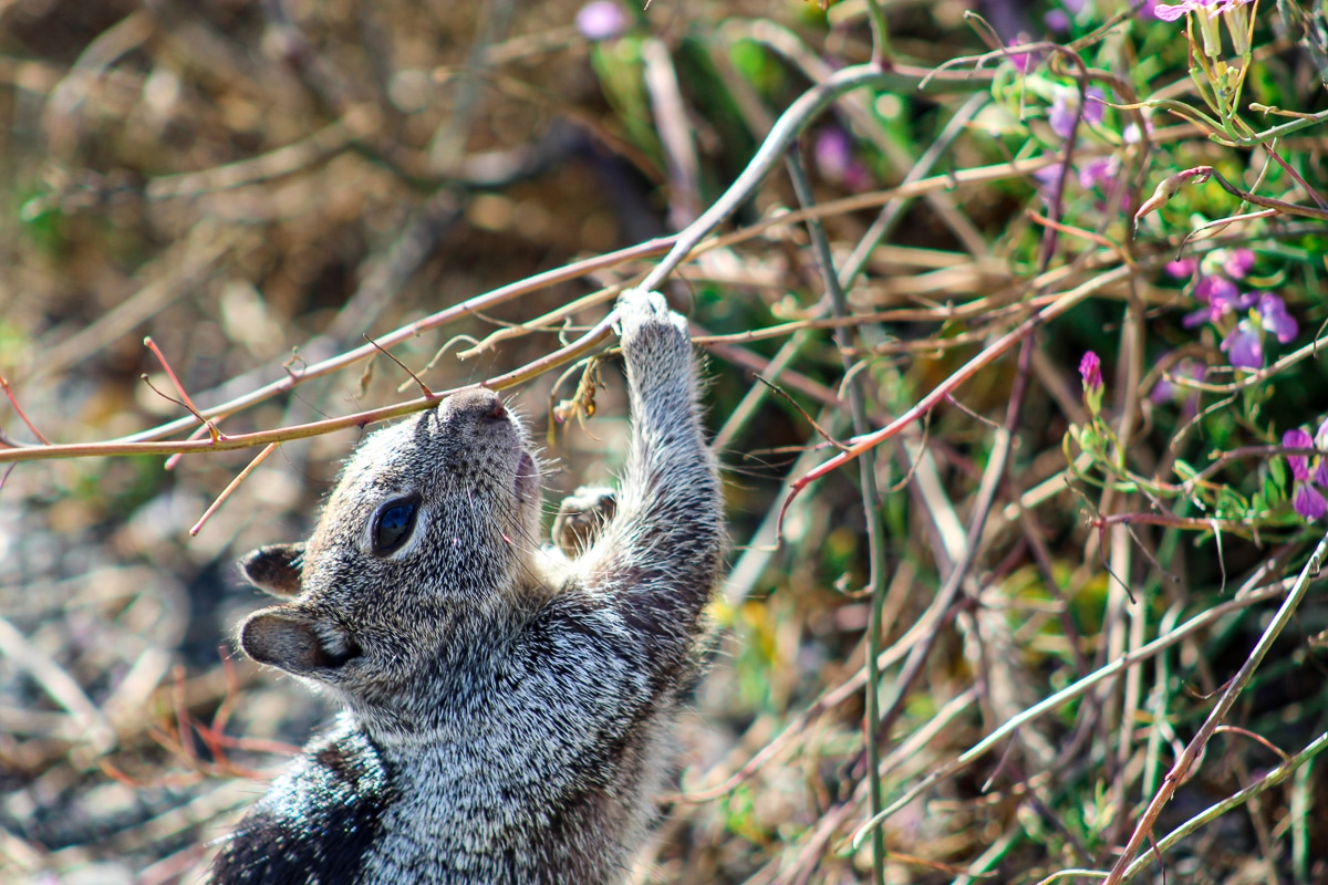 things to do in Half Moon Bay