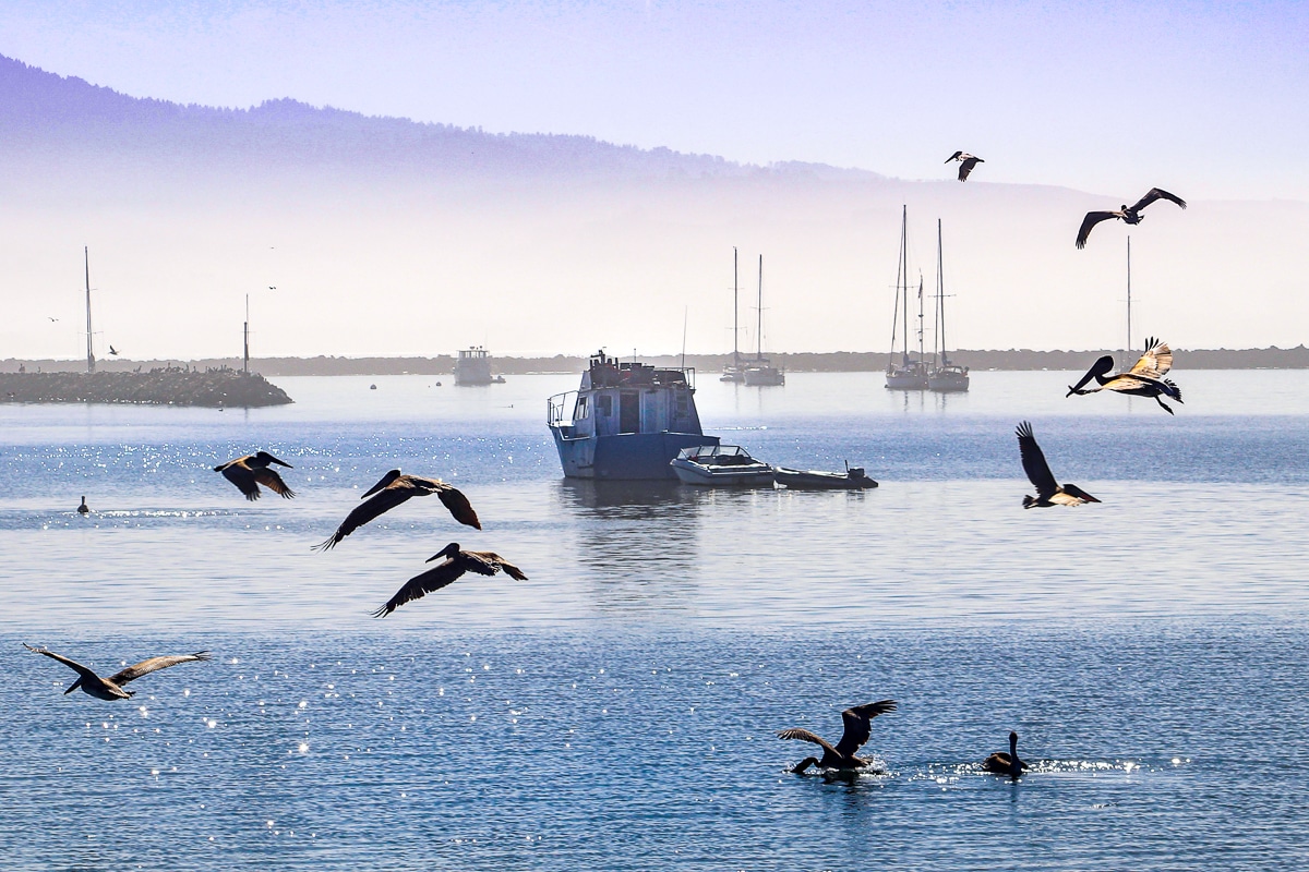 things to do in Half Moon Bay