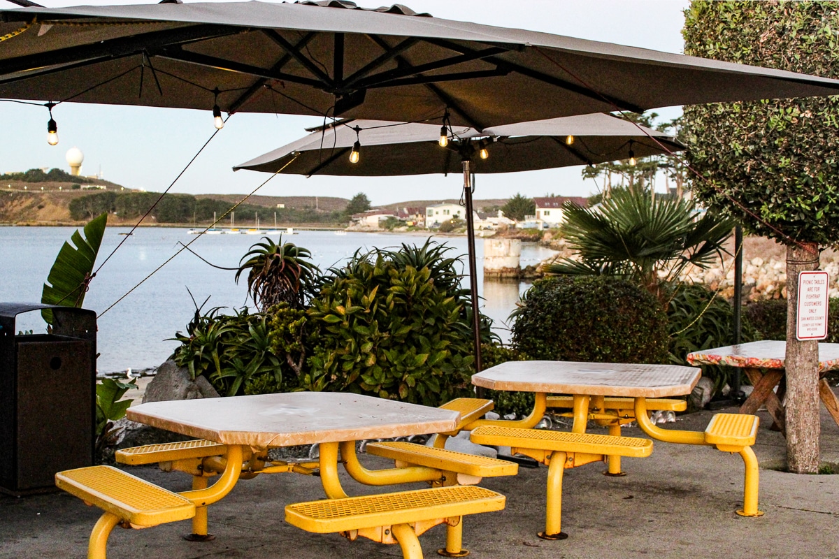 things to do in Half Moon Bay
