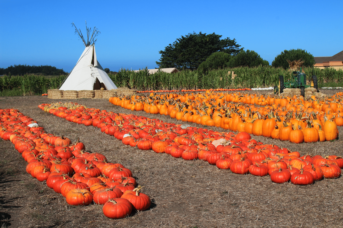 things to do in Half Moon Bay