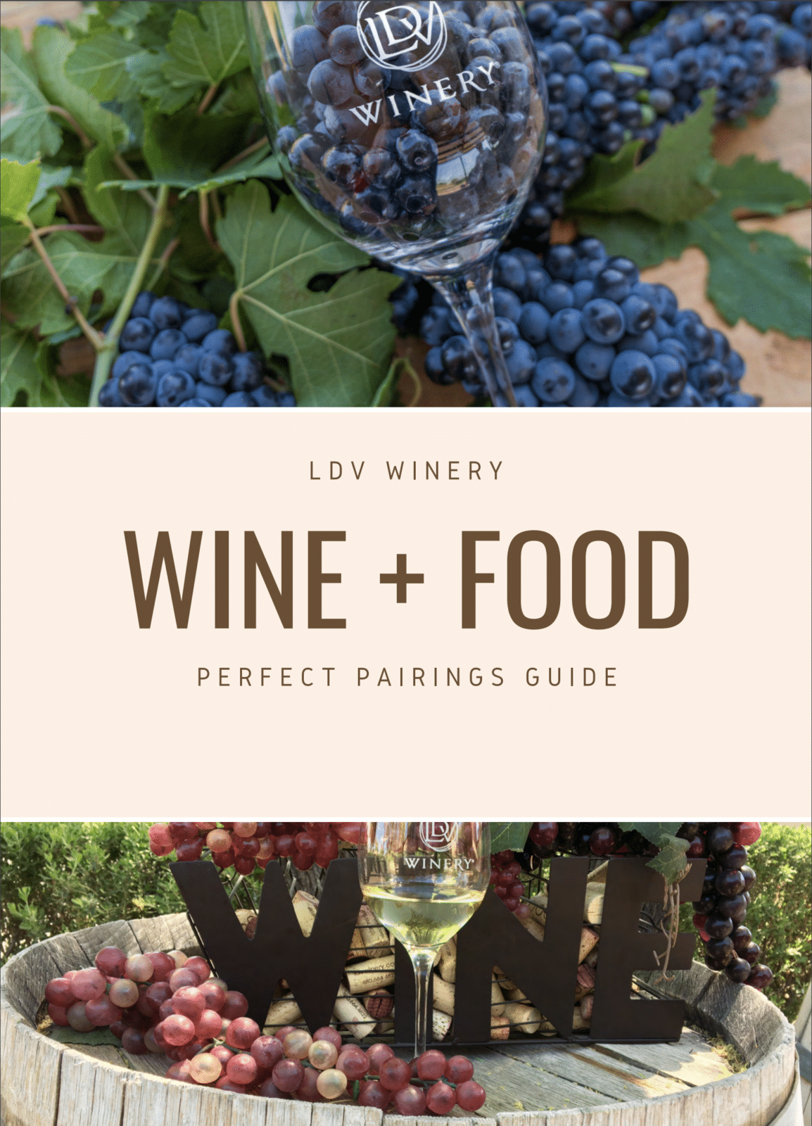 Scottsdale Wine Tasting