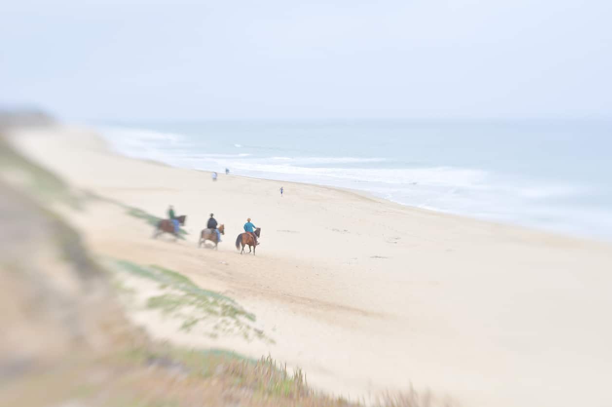 things to do in Half Moon Bay