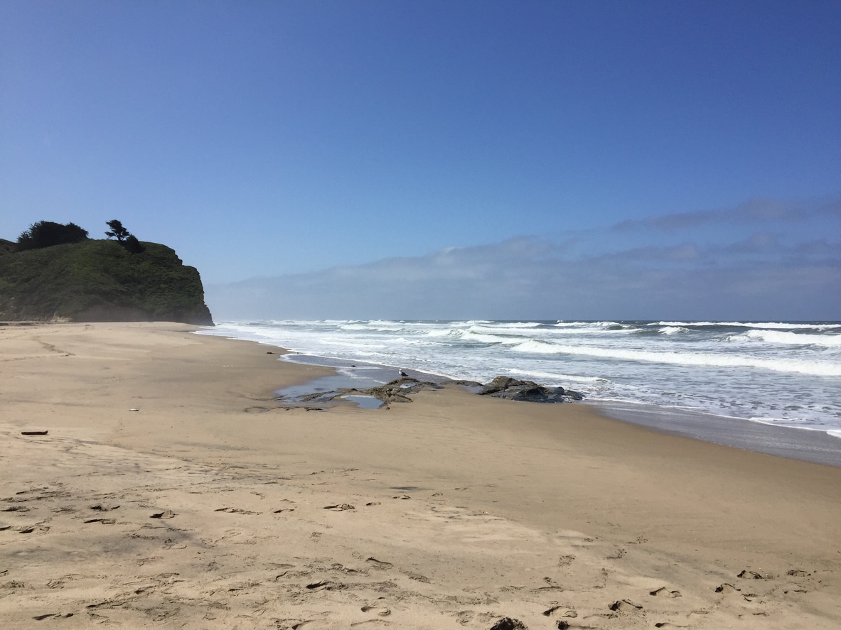 things to do in Half Moon Bay
