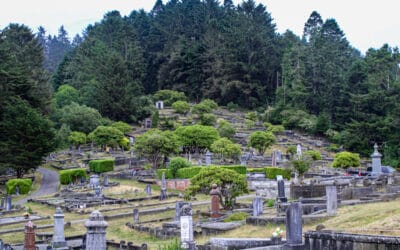 Things to Do in Ferndale, California
