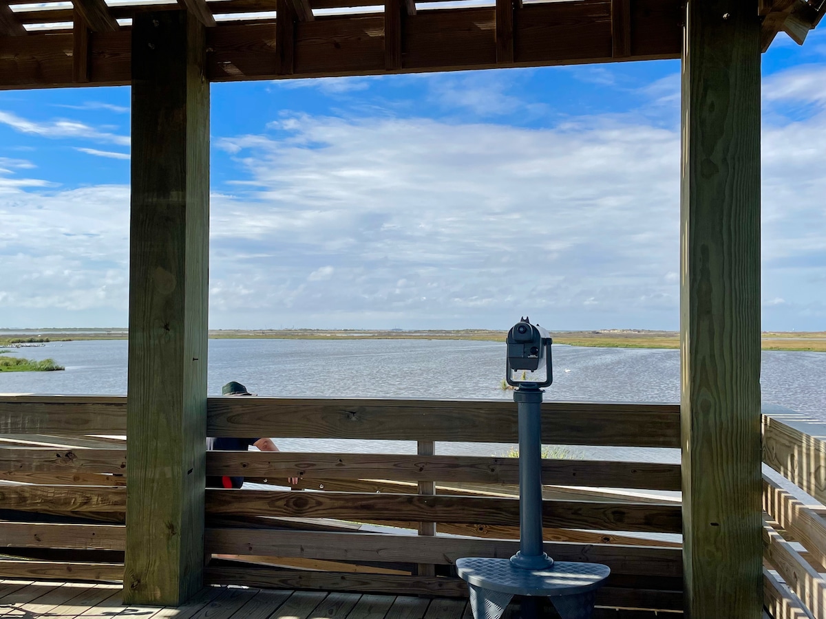 Texas Birdwatching Hotspots
