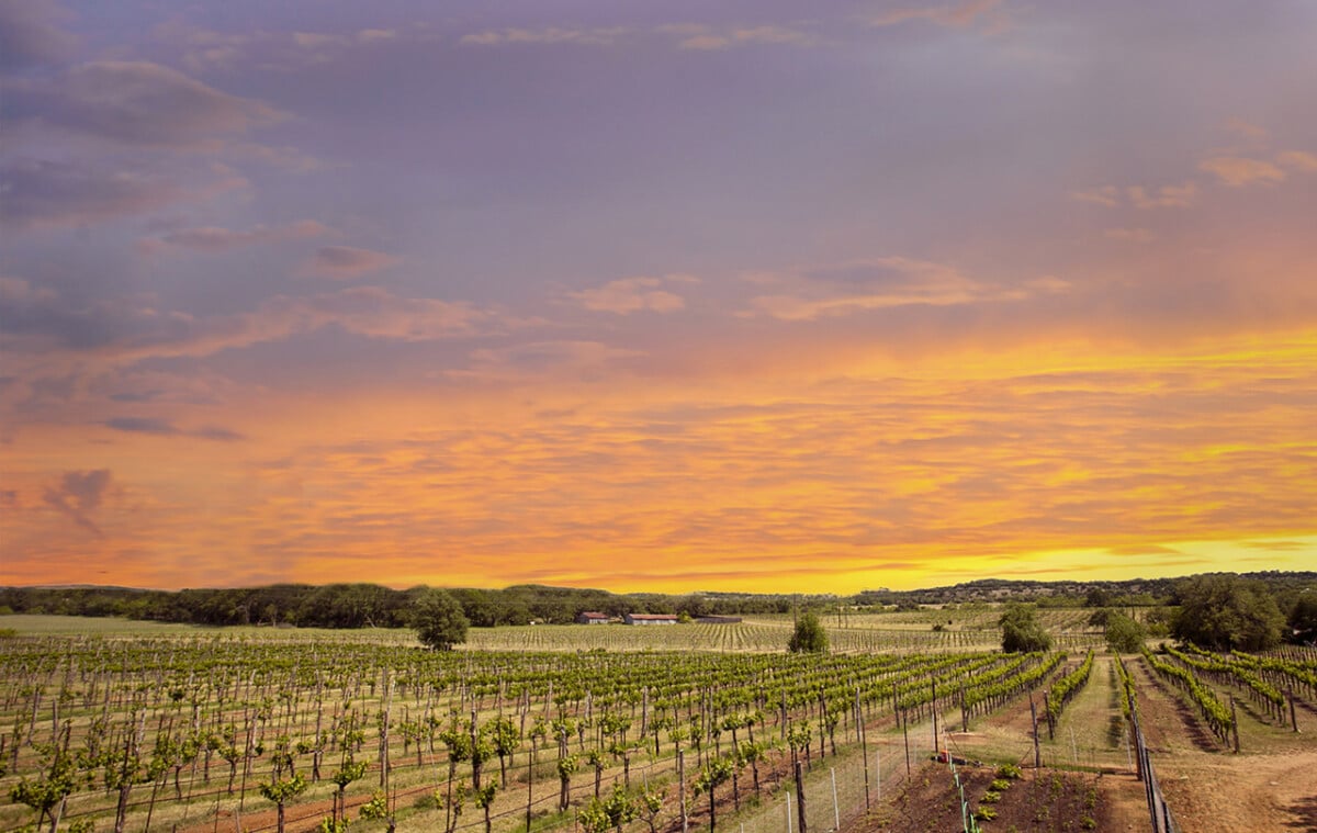 Spicewood Vineyards sunset in Texas Hill Country © Spicewood Vineyards