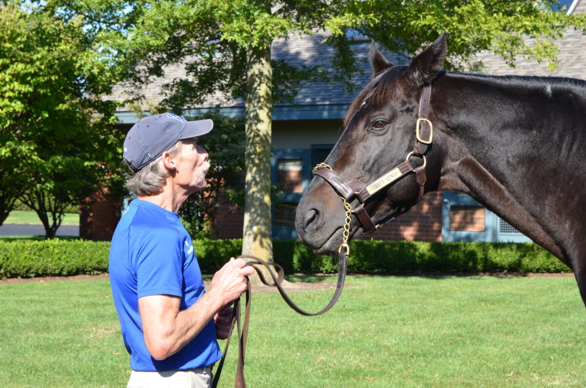 Kentucky Derby winner Street Sense at Jonabell Farm in Lexington