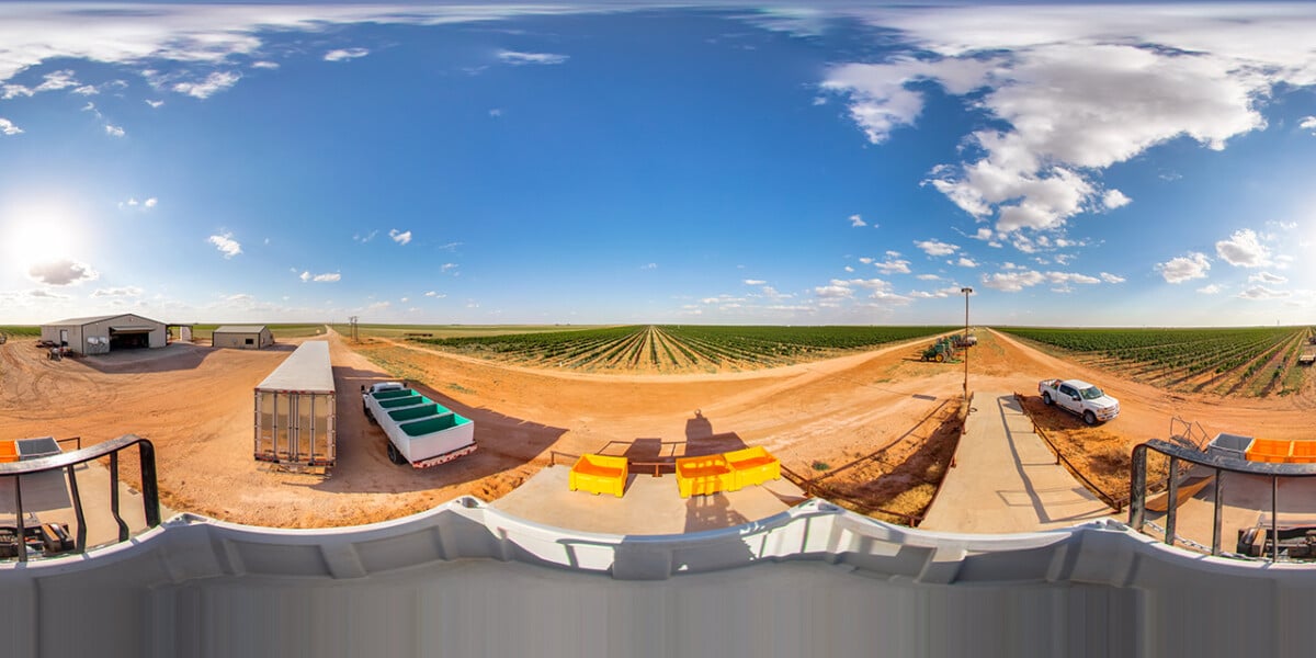 Texas High Plains @ Texas Fine Wine