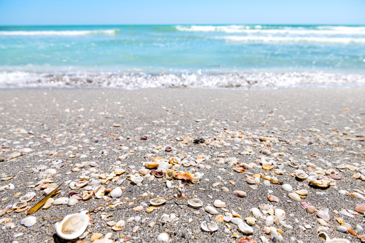 Paradise Awaits at Sanibel Sundial Beach Resort and Spa 68 Sanibel Sundial Beach Resort