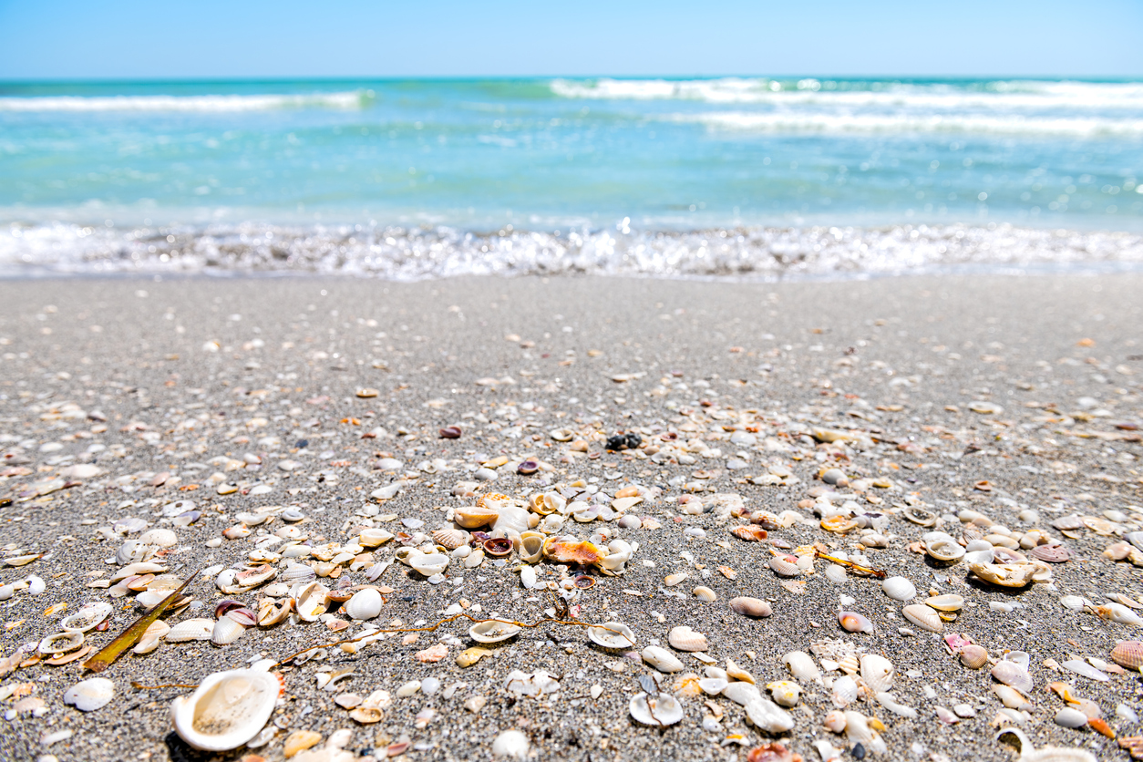 Paradise Awaits at Sanibel Sundial Beach Resort and Spa