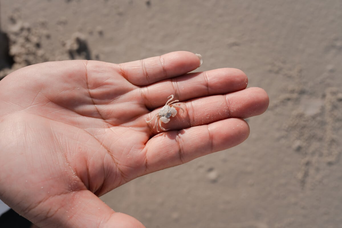 10 things you can do with your kids in the Outer Banks