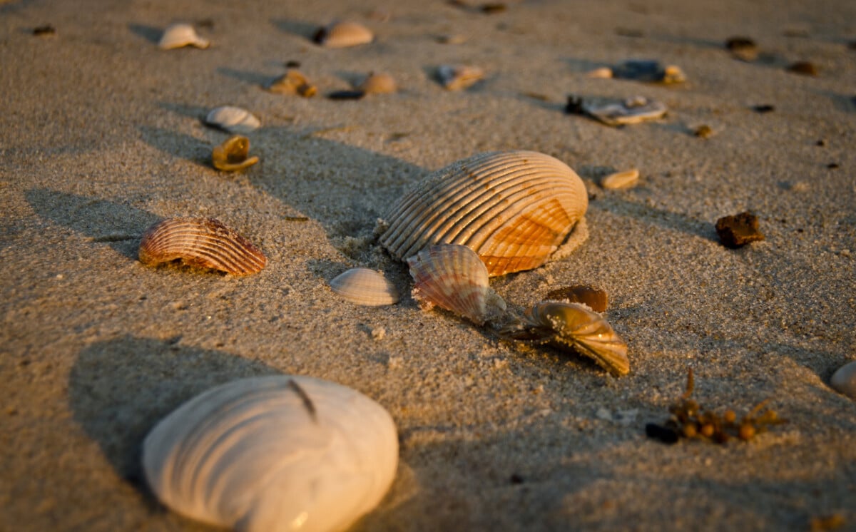 10 things you can do with your kids in the Outer Banks