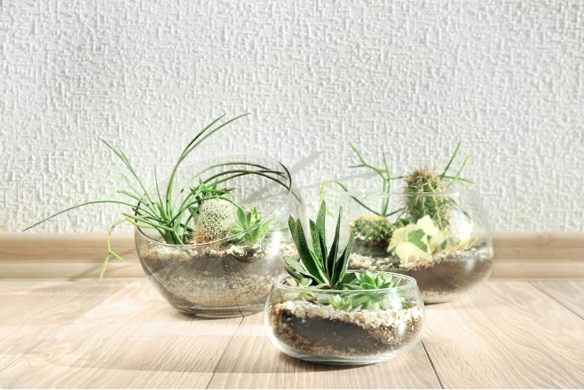 building a terrarium