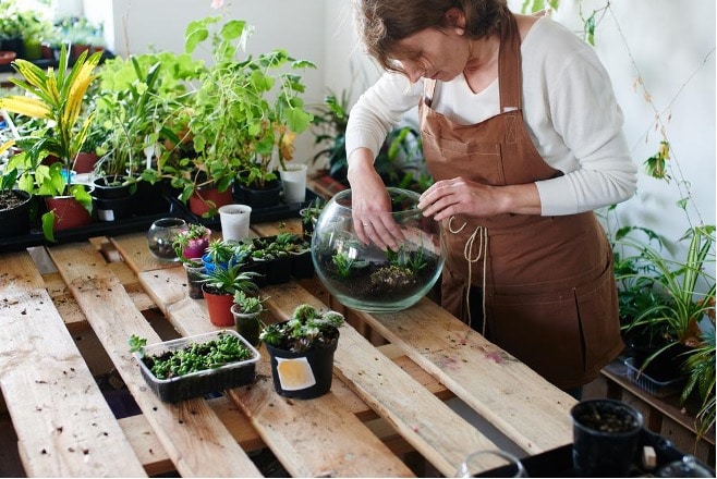 building a terrarium