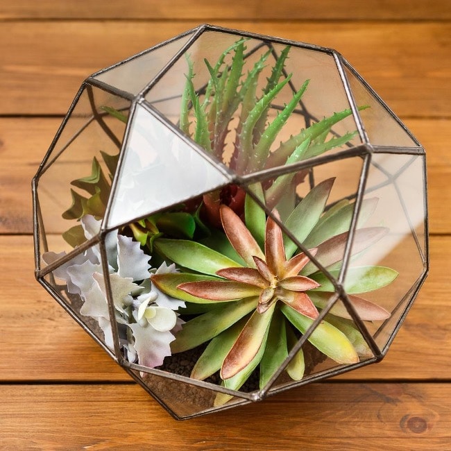 building a terrarium