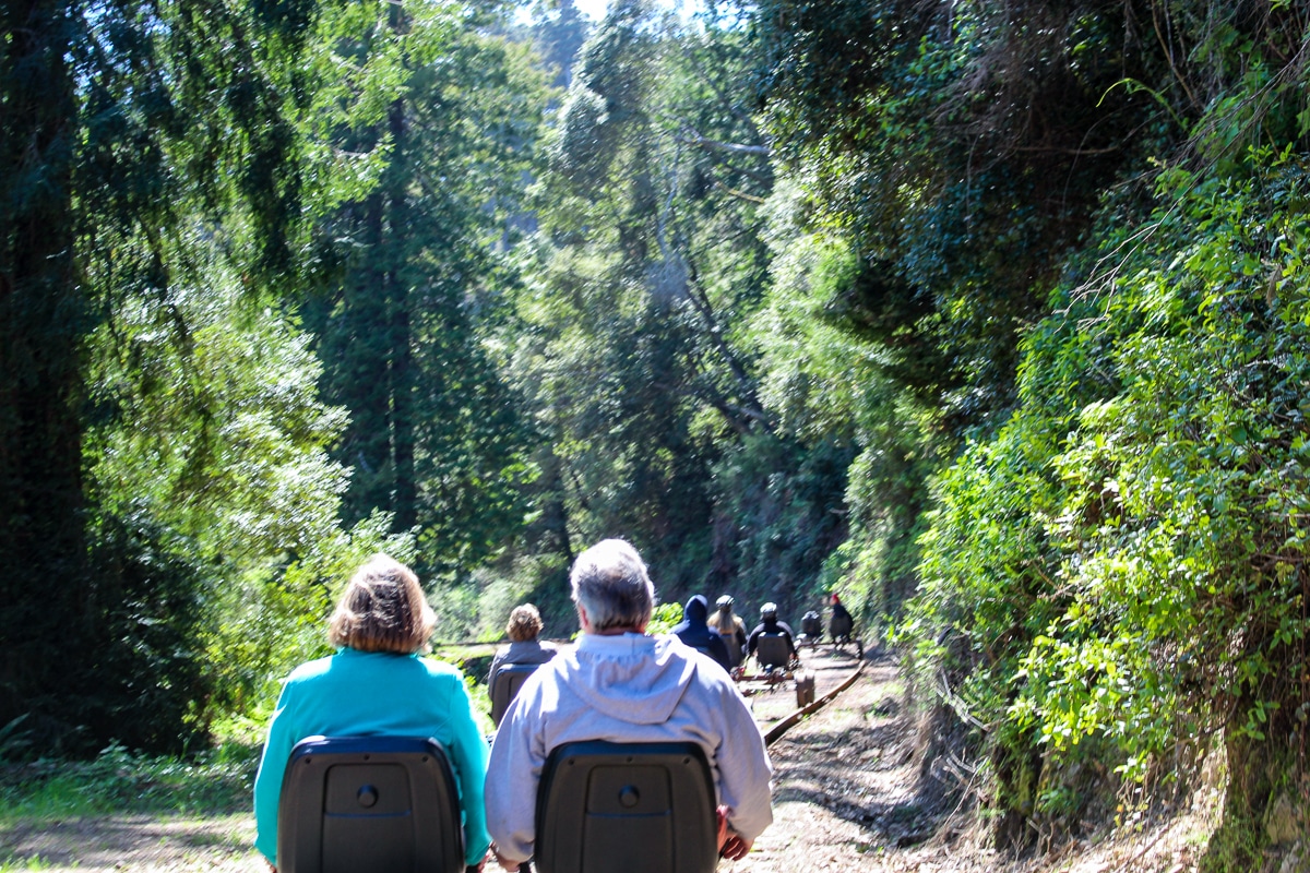 Skunk Train Rail Bikes
